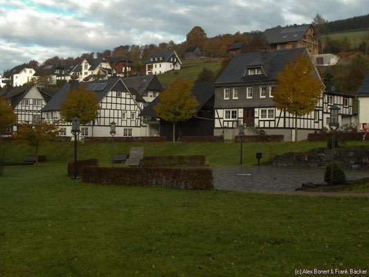 Latrop bei Schmallenberg, 2011