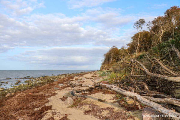 Insel Poel 2023, Strand an der Nordküste