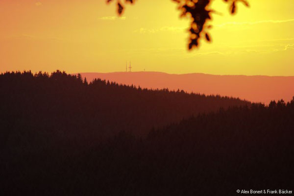 Alpenhaus 2018, Blick zum Fernmeldeturm Ebbegebirge bei Herscheid