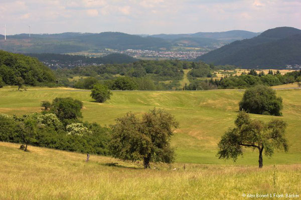 Wacholderweg 2021, 