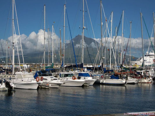 Azoren 2011, Faial, Hafen von Horta mit Blick auf den Pico