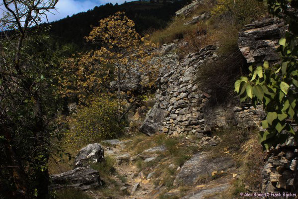 Südtirol 2016, Wanderweg oberhalb von Kortsch