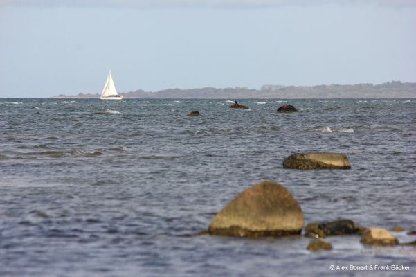 Insel Poel 2023, Nordküste