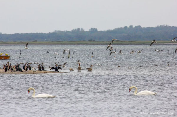 Insel Poel 2023, Gollwitzer Strand