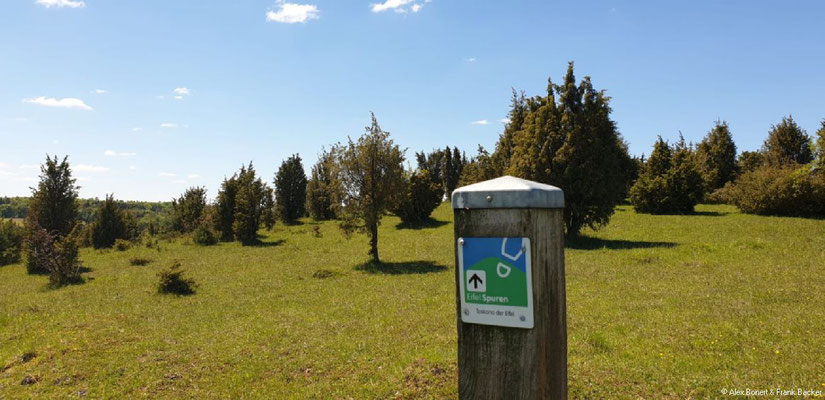 Nordeifel 2021, "Toskana der Eifel", Eierberg