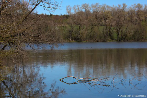 Westerwaldsteig-Erlebnisschleife 2022, Großer Secker Weiher