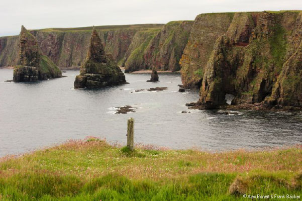 Schottland 2012, Duncansby Head