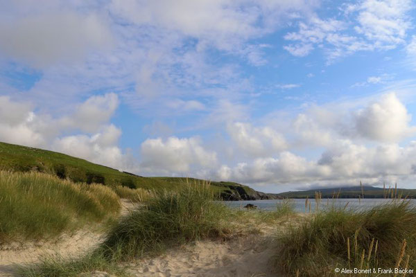 Grönland 2019, Shetland, nahe St. Ninian`s Isle