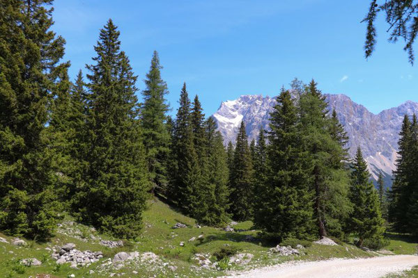 Garmisch-Partenkirchen 2023, Wanderung Richtung Ehrwalder Alm