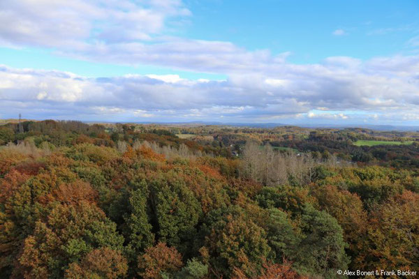 Waldmythenweg, Baumwipfelpfad Panarbora