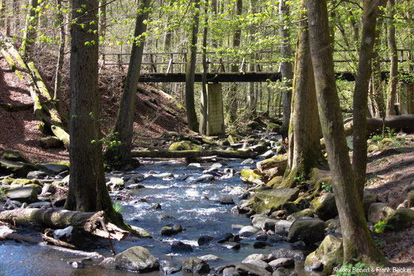 Westerwaldsteig-Erlebnisschleife 2022, Holzbachschlucht