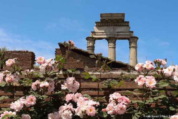 Rom 2018, Forum Romanum