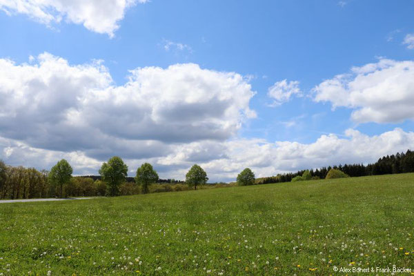 Quellenweg Osthelden 2021, Ostheldener Höhe