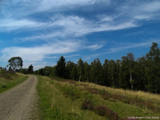 Trupbacher Heide 2015, NSG Heiden und Magerrasen