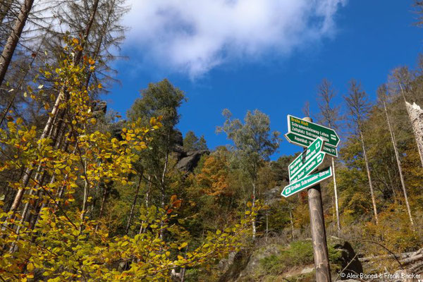 Sächsische Schweiz 2022, Elbleitenweg