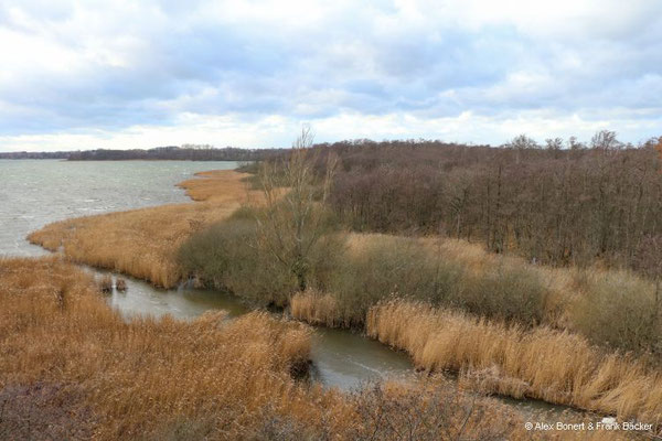 Timmendorfer Strand 2023, Hermann-Löns-Blick