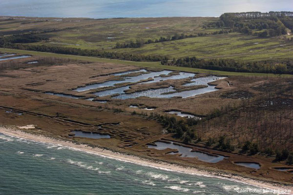 Zingst 2021, Rundflug, Sundische Wiese