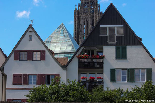 Ulm 2022, Altstadt mit Münster