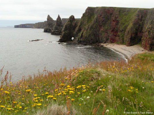 Schottland 2012, Duncansby Head