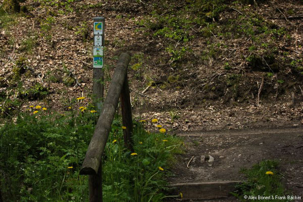 Nordeifel 2021, "Wo die Ahr entspringt", auf dem Brotpfad