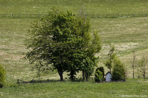 Groimecke Rundweg 2019, 