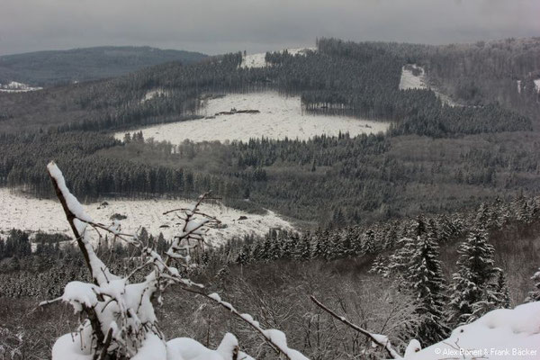 Blick von unterhalb des Kindelsberges auf Hoher Wald, Kreuztal
