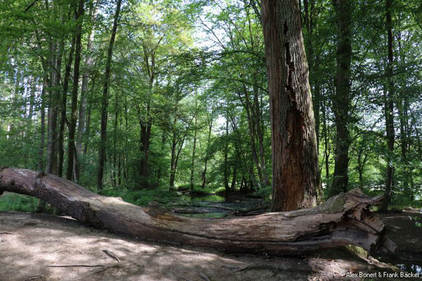 Wasserroute unverDHÜNNt, Eifgenbach