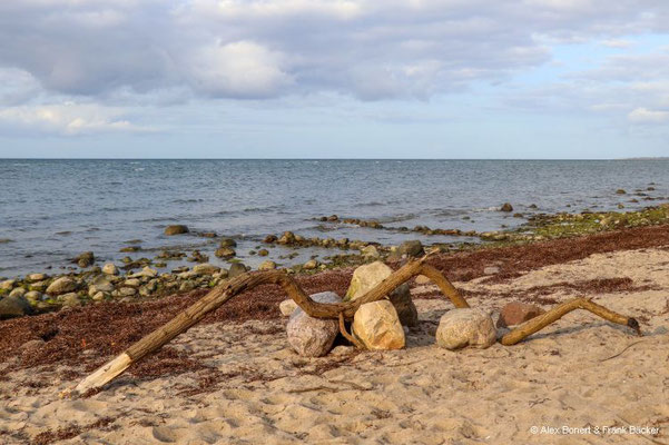 Insel Poel 2023, Strand an der Nordküste