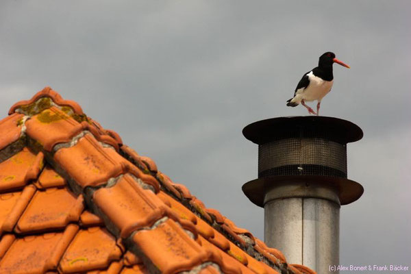 Zeeland 2014, Oostkapelle