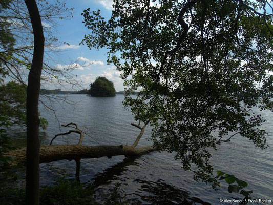 Schönberger Strand 2017, Plön, Großer Plöner See