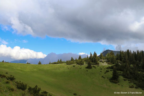 Garmisch-Partenkirchen 2023, Wank, Gipfelrundweg, Blick zum Ameisberg