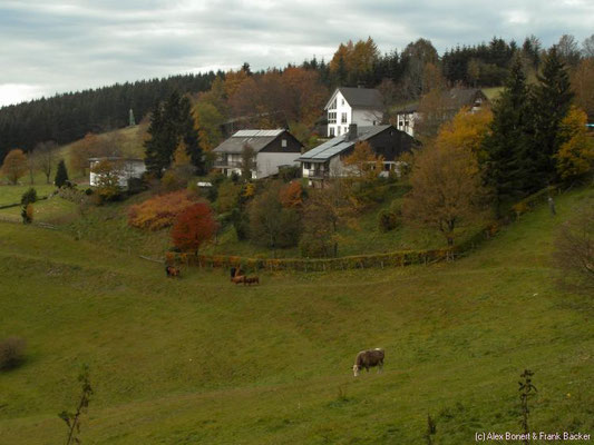 Schanze bei Schmallenberg, 2011