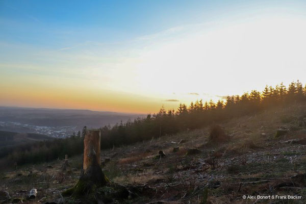 2024, Blick vom Kindelsberg Richtung Kreuztal