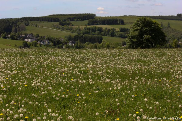 Groimecke Rundweg 2019, Hildfeld