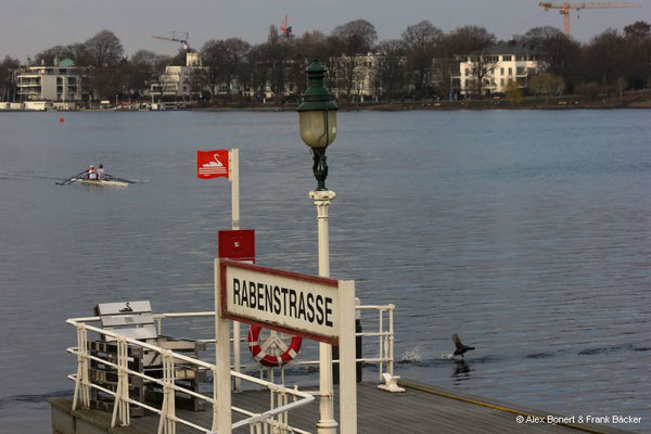 Hamburg 2023, Außenalster