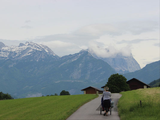 Den Schneebergen entgegen