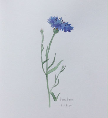 Annette Fienieg: Cornflower