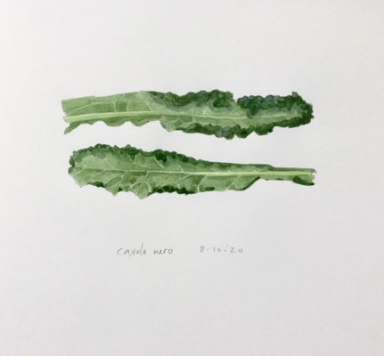 Annette Fienieg: Cavolo nero