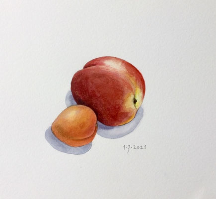 Annette Fienieg: Nectarine en abrikoos, 1-7-2021