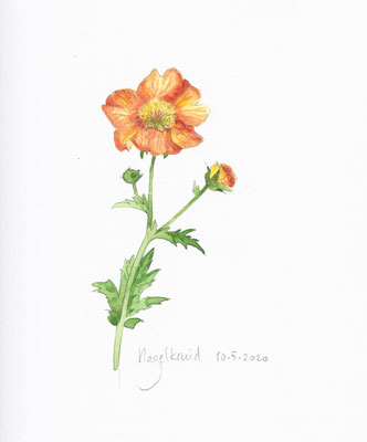 Annette Fienieg: Geum