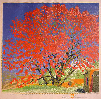 Gustave Baumann: Cottonwood in tassel, houtsnede