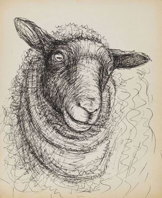 Henry Moore: sheep