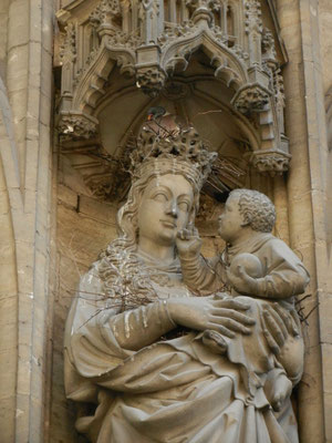 Duif met goddelijke bescherming, St Baafkathedraal