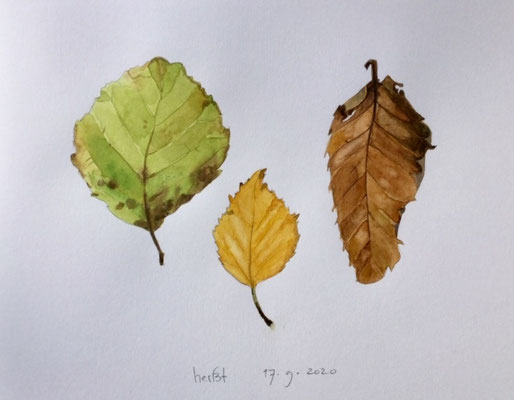 Annette Fienieg: Herfst 17-9-20