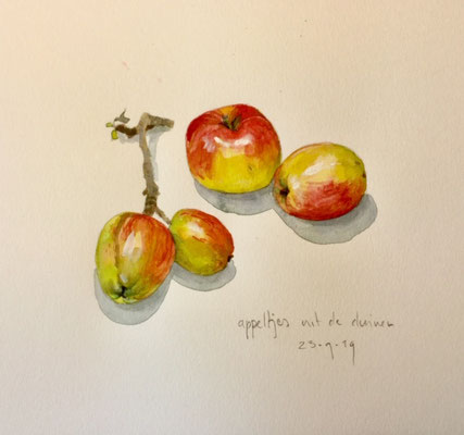 appeltjes uit de duinen, aquarel en potlood Annette Fienieg 2019