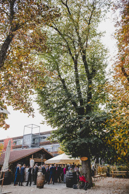 Der Kirchheimer Hirschgarten - Biergarten unter Kastanien - 18