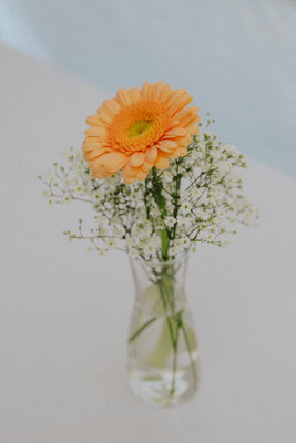 Impressionen von unseren Hochzeiten
