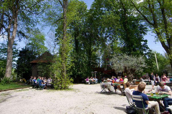 Der Kirchheimer Hirschgarten - Biergarten unter Kastanien - 8