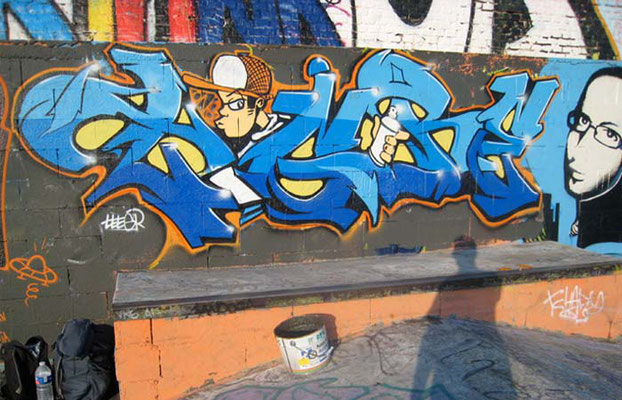 TIGR SkatePark Albi