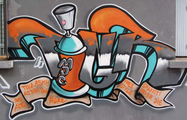 TIGR - MJC Albi